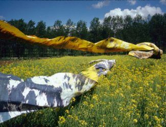 "Géographies jaunes et noires", Colz'art 1989.