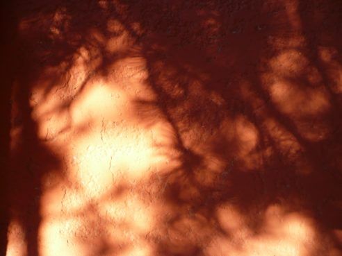 Ombres et lumières, 2010